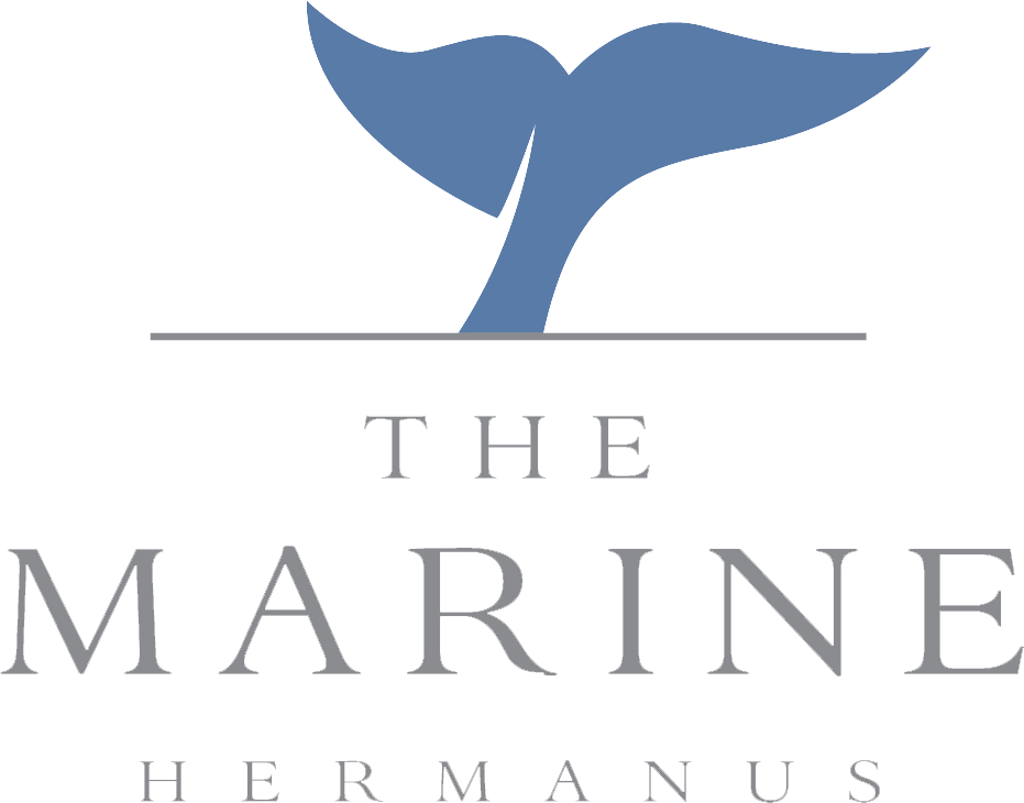 Marine Hermanus hotel logo