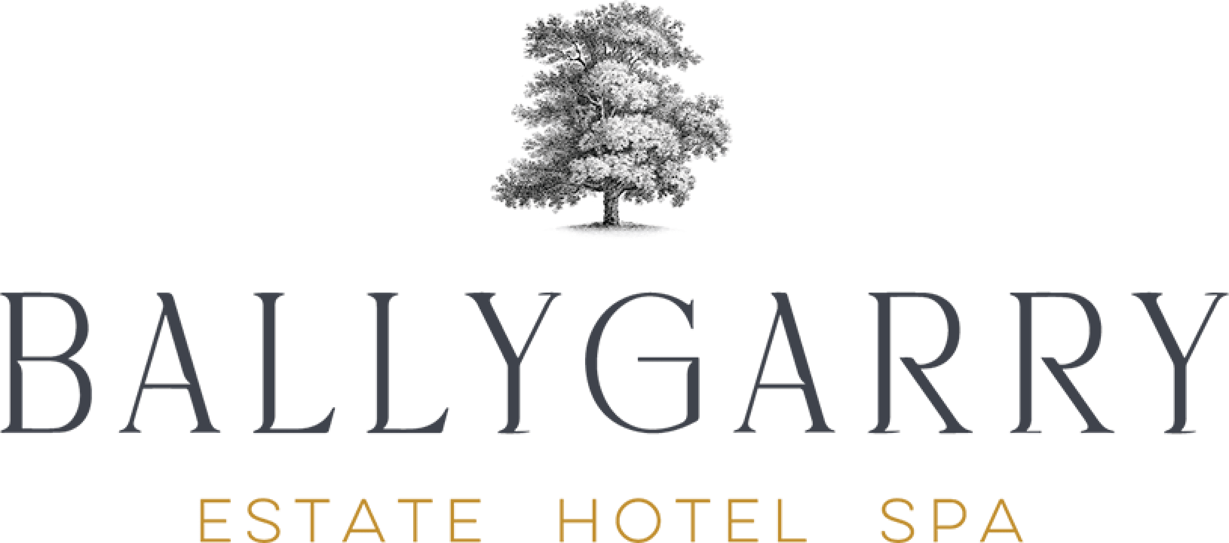 Ballygarry Estate Hotel & Spa logo