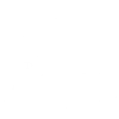 Ashe Hotel logo