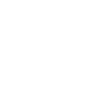 3D secure logo